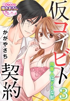 仮コイビト契約　同居人はドSな獣【第3話】